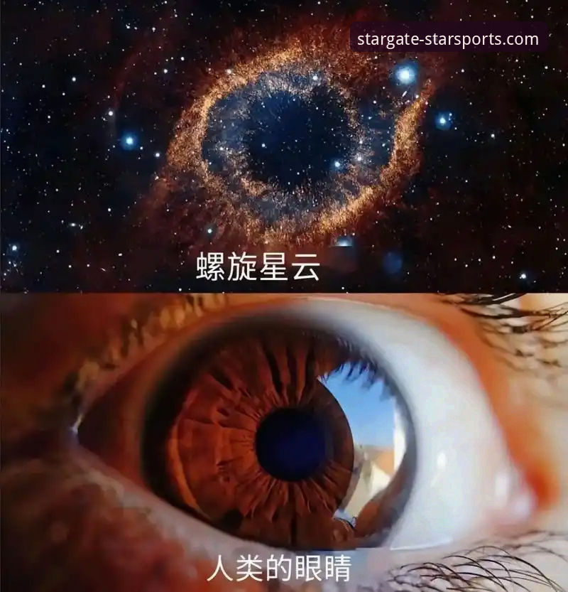 资深用户分享：选择星空体育官方网站的3大核心理由与5个实用技巧